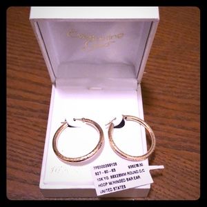 10K Yellow Gold Hoop Earnings